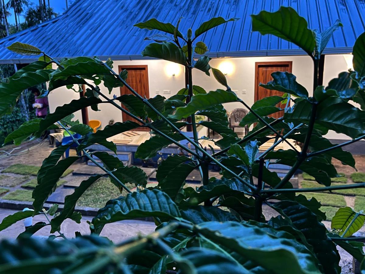 Cave Valley Wayanad Ambalavayal Exterior photo