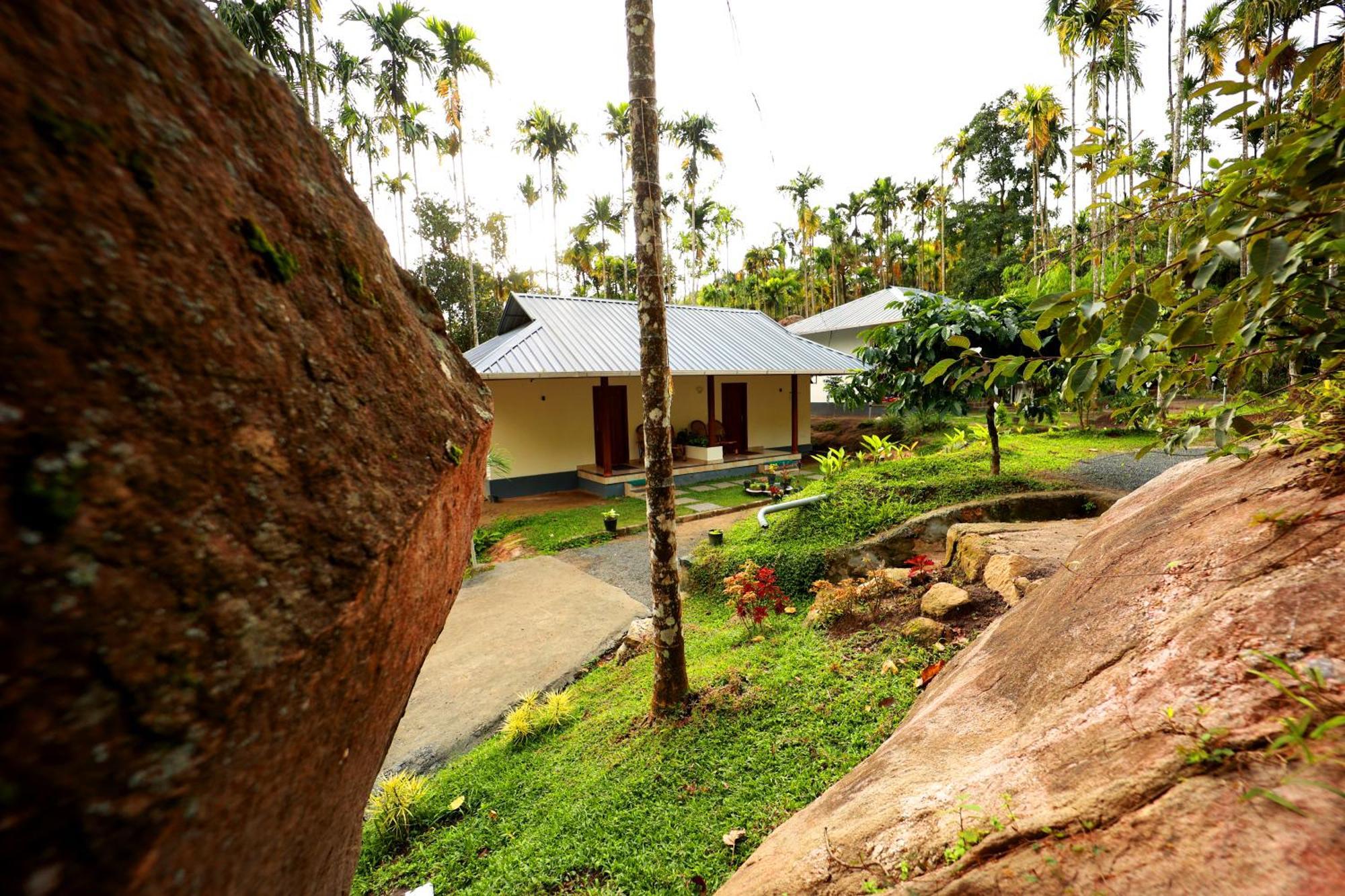 Cave Valley Wayanad Ambalavayal Exterior photo