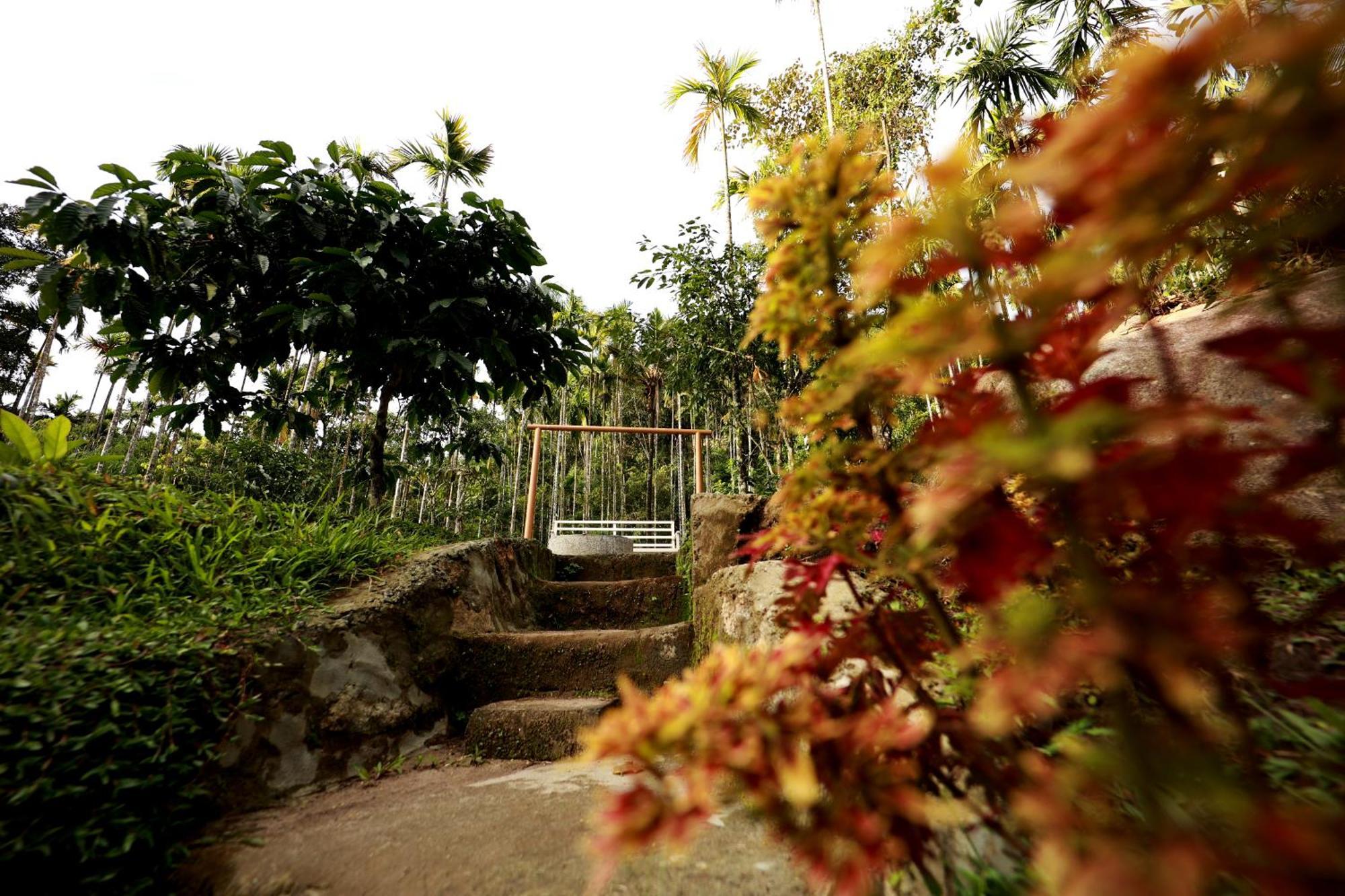 Cave Valley Wayanad Ambalavayal Exterior photo