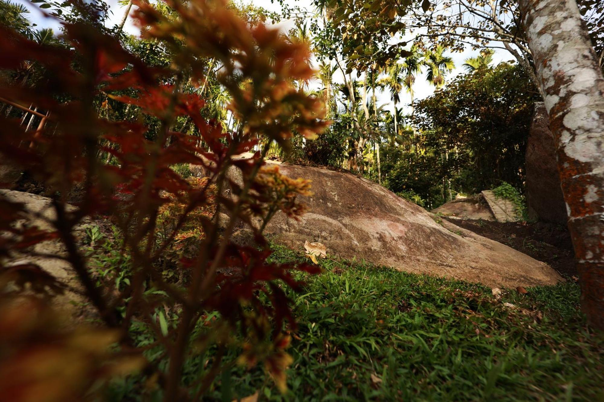 Cave Valley Wayanad Ambalavayal Exterior photo