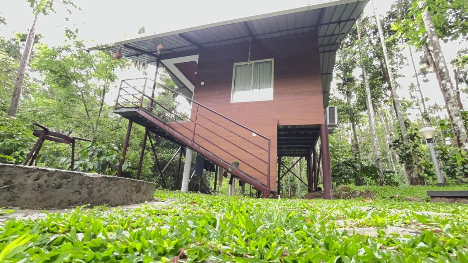 Cave Valley Wayanad Ambalavayal Exterior photo