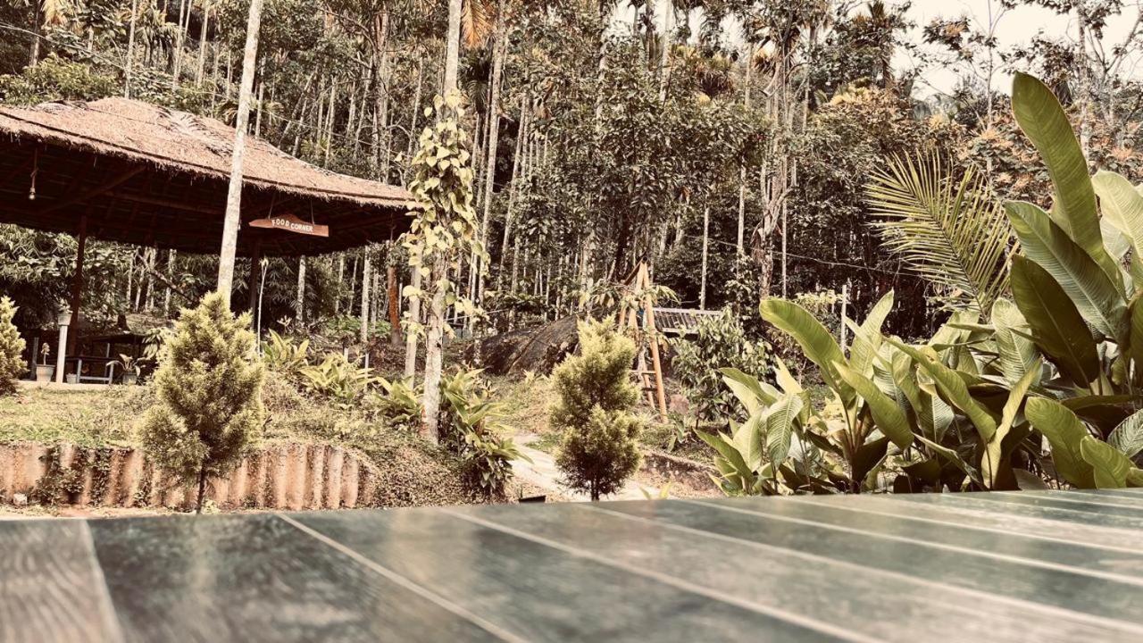 Cave Valley Wayanad Ambalavayal Exterior photo